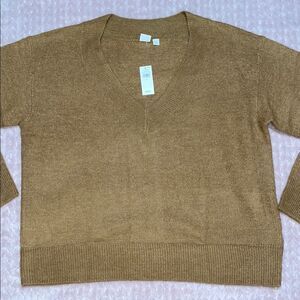 Gap Womens Sparkle Tan V Neck Knit Sweater